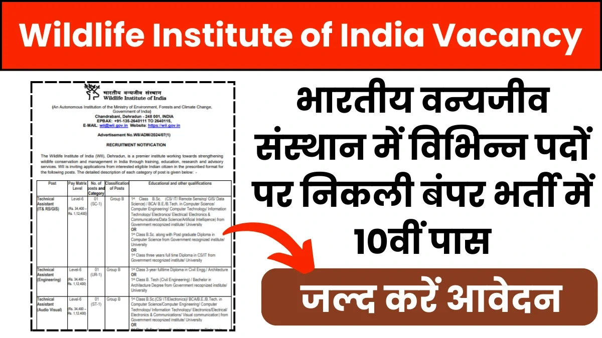 Wildlife Institute of India Vacancy: भारतीय वन्यजीव संस्थान में विभिन्न पदों पर निकली बंपर भर्ती में 10वीं पास, जल्द करें आवेदन